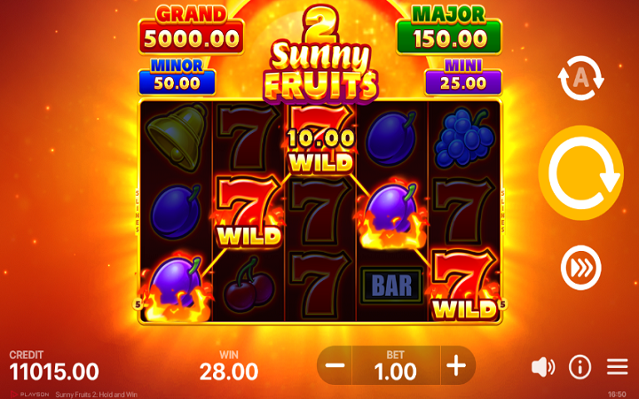 Sunny Fruits 2 Hold and Win-džoker-online casino bonus-playson