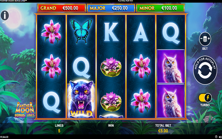 Panther Moon Bonus Lines-online casino bonus-playtech
