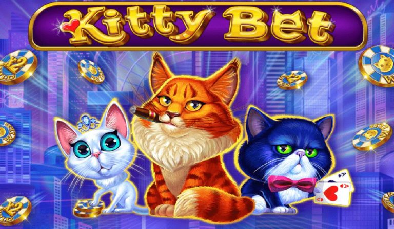 Kitty Bet-amatic online-online casino bonus