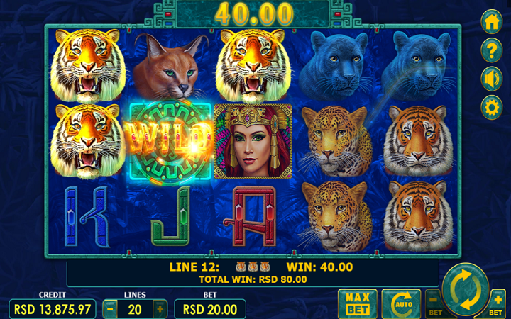 Super Cats-džoker-online casino bonus-amatic online