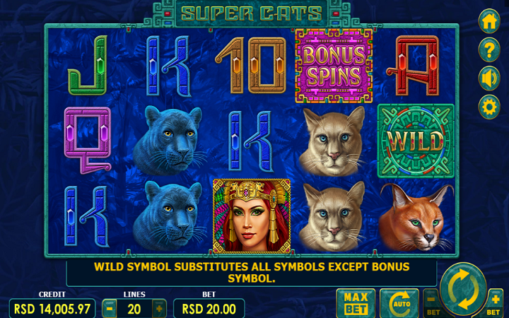 Super Cats-online casino bonus-amatic online
