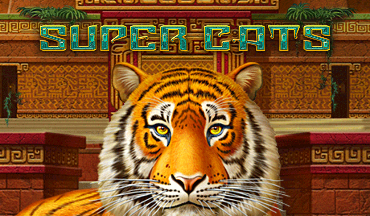 Super Cats-online casino bonus-amatic online